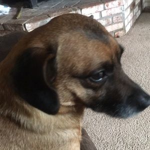 Meet your Posher, Trish